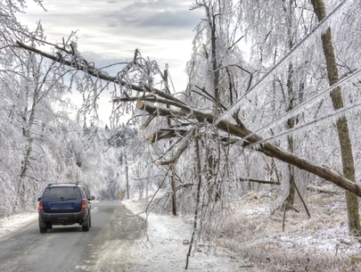 Tree down on power lines following ice storm