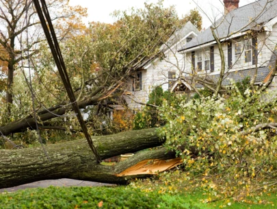 Trees lay on front lawns and houses following severe storm.